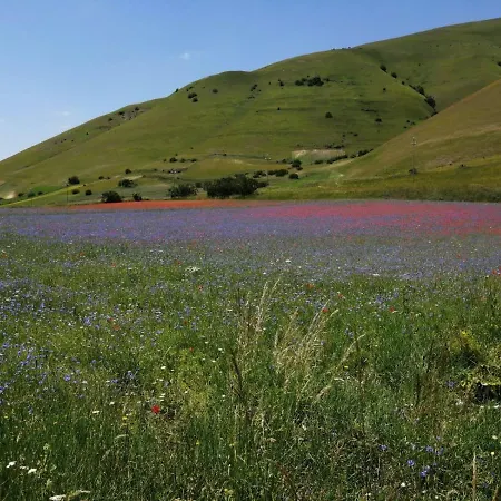 Appartement Antica Carbonaia Di