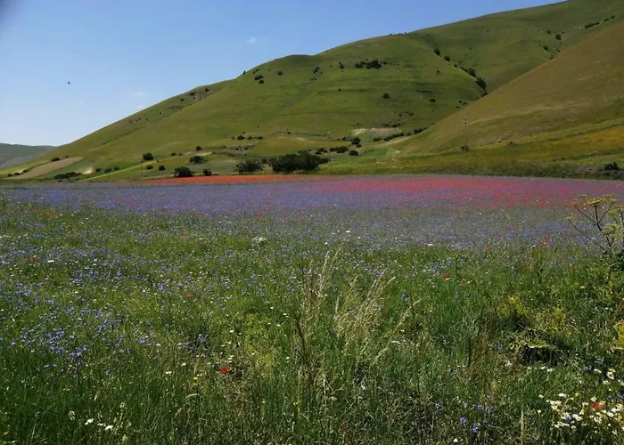 شقة Antica Carbonaia Di